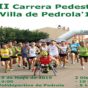 VII Carrera Pedestre Villa de Pedrola