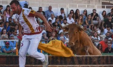 El Ayuntamiento de Pedrola y Torosocial presentan una Feria Taurina de San Roque 2026 con 18 festejos y un cartel ganadero de primer nivel