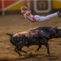 La Comisión de Festejos anuncia las fotos y Tiktok ganador del Concurso Fiestas 2026